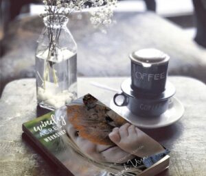 Windy Acres Workshop by Sarah Uren, nonfiction book